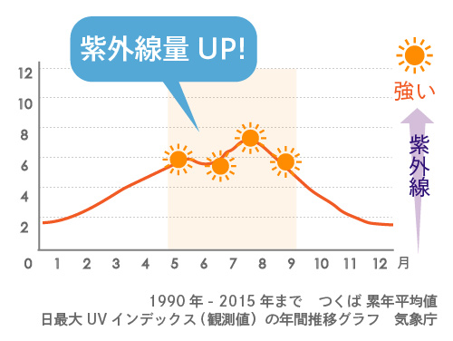 最大UVインデックス (観測値) の年間推移グラフ 2016年