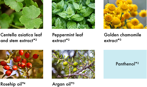 skincare ingredients