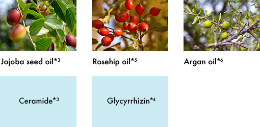 skincare ingredients