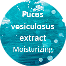Fucus extract