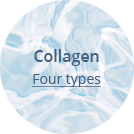 Collagen