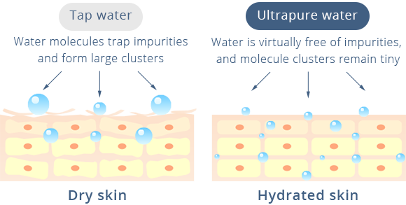 Dry skin,Hydrated skin