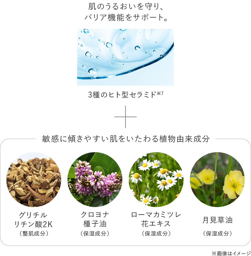 肌のうるおいを守りバリア機能をサポート