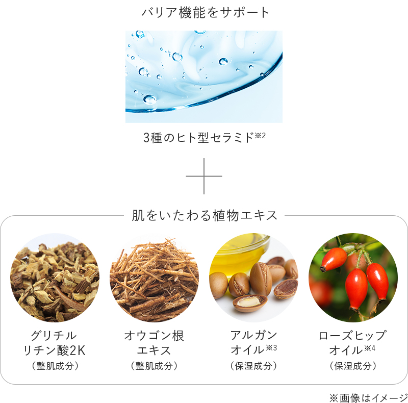 バリア機能をサポート
