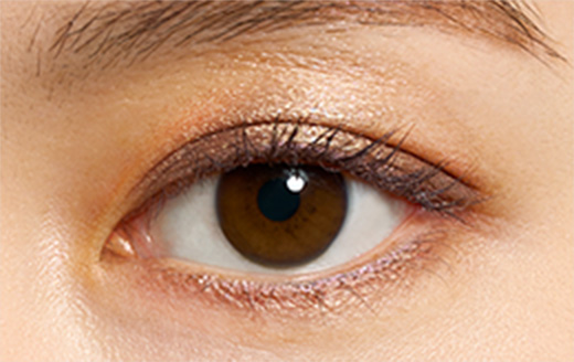 EX06 グレイッシュブラウン