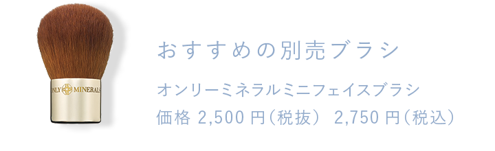 おすすめの別売りブラシ