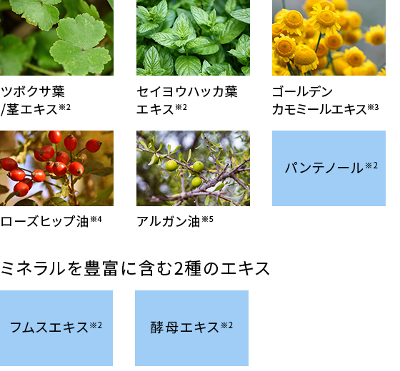 スキンケア成分配合